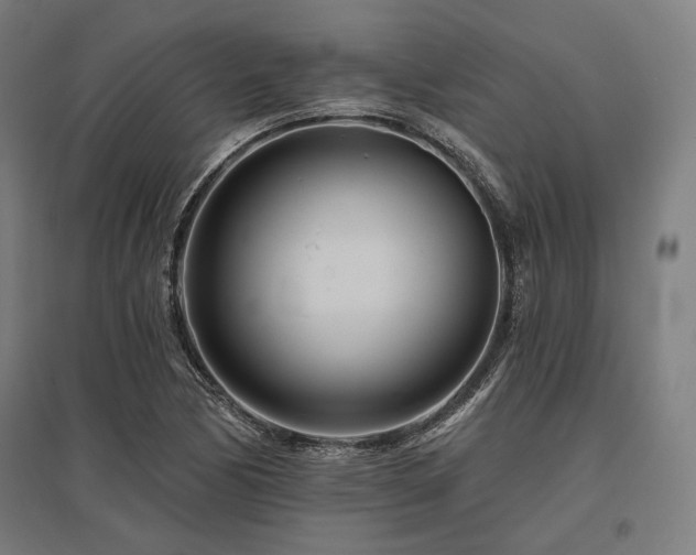 X0000096171170200801181243