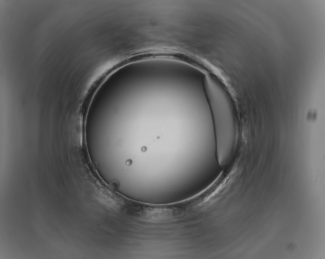 X0000096171171200801181243