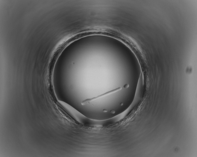 X0000096171172200801181243