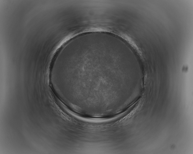 X0000096171173200801181243