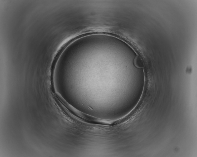 X0000096171174200801181243