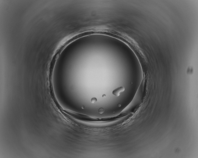 X0000096171176200801181243