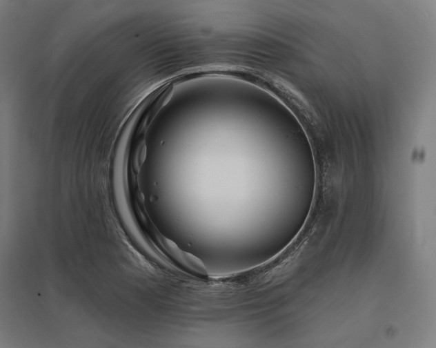 X0000096171177200801181243