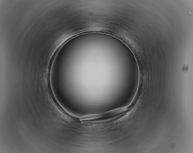 X0000096171178200801181243