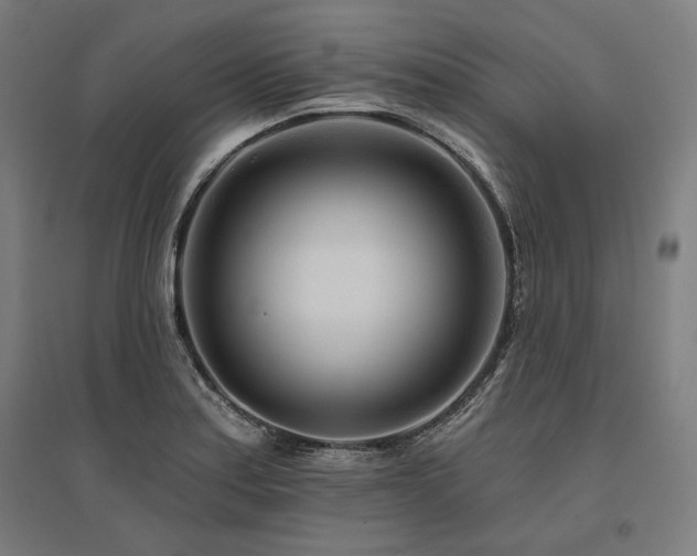 X0000096171179200801181243