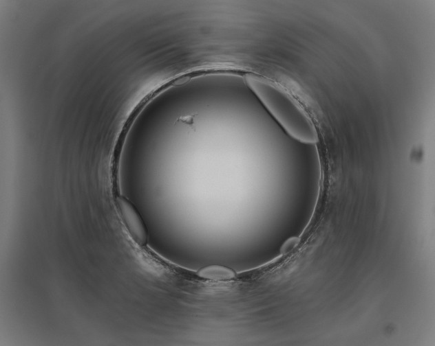 X0000096171181200801181243