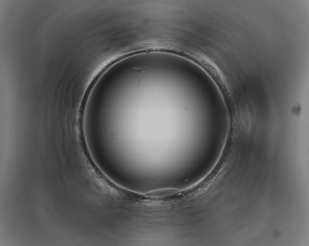 X0000096171182200801181243