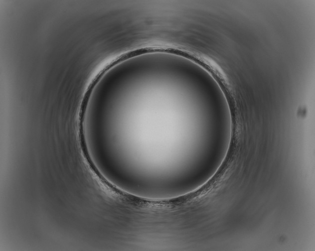 X0000096171183200801181243