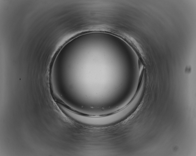 X0000096171184200801181243