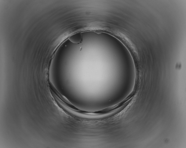 X0000096171185200801181243