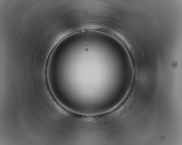 X0000096171186200801181243