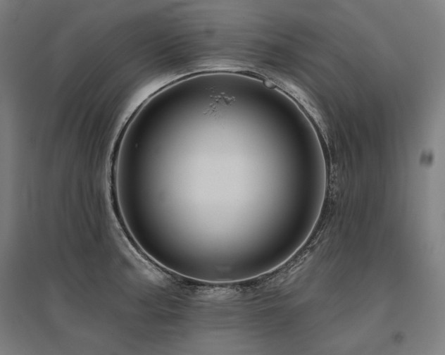 X0000096171187200801181243
