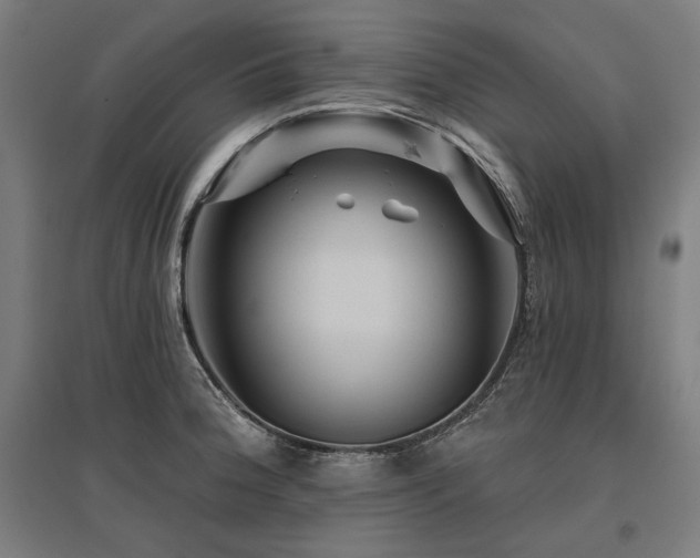 X0000096171188200801181243