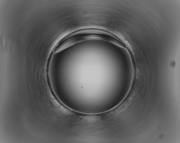X0000096171189200801181243