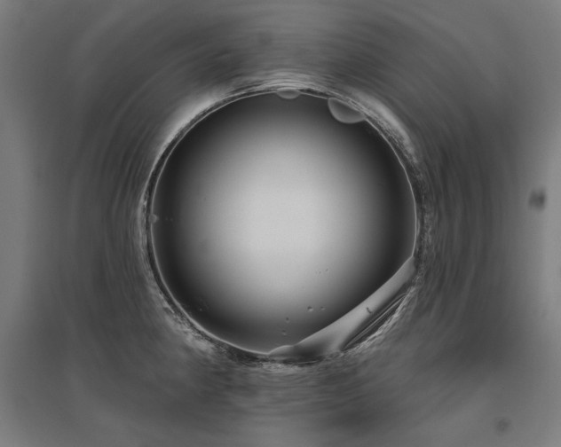 X0000096171190200801181243