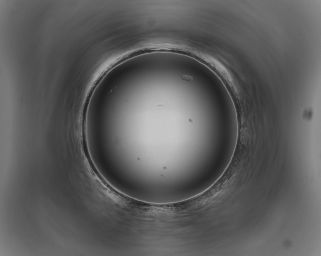 X0000096171191200801181243