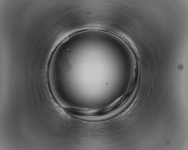 X0000096171192200801181243