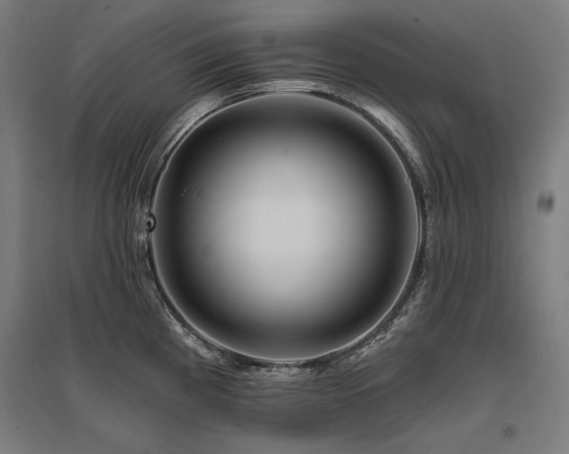 X0000096171193200801181243