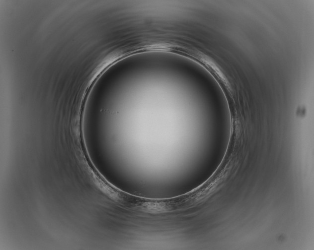 X0000096171194200801181243