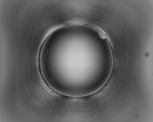 X0000096171195200801181243