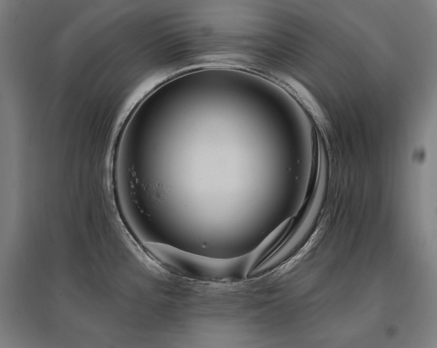 X0000096171196200801181243
