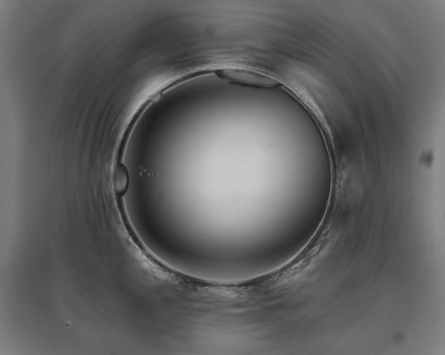 X0000096171197200801181243