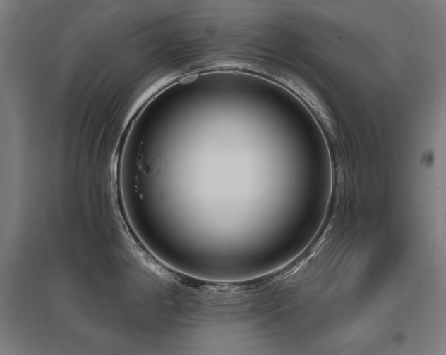 X0000096171198200801181243