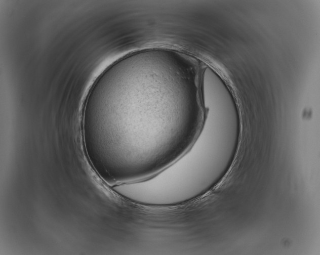 X0000096171200200801181243
