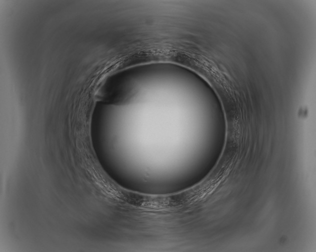 X0000096171201200801181242