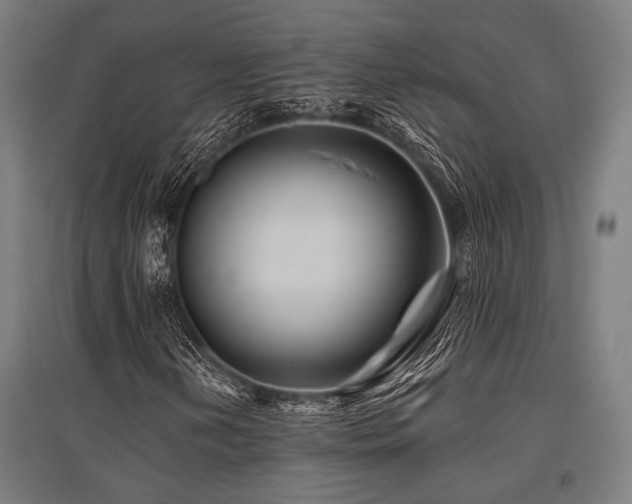 X0000096171202200801181242