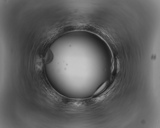 X0000096171204200801181242