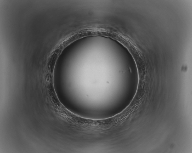 X0000096171207200801181242