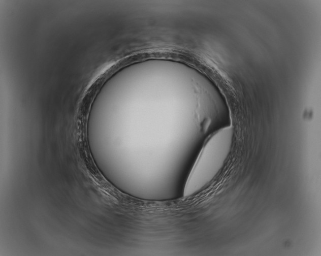 X0000096171208200801181242