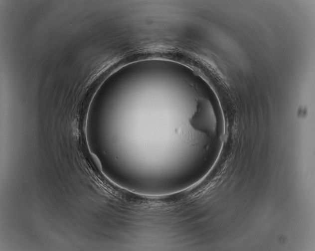 X0000096171209200801181242