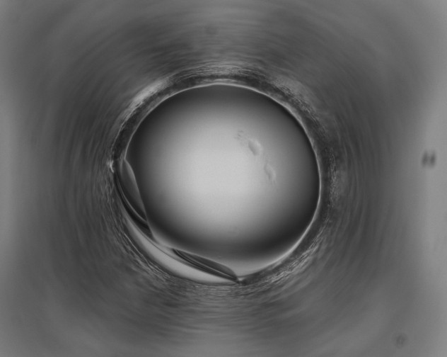 X0000096171210200801181242
