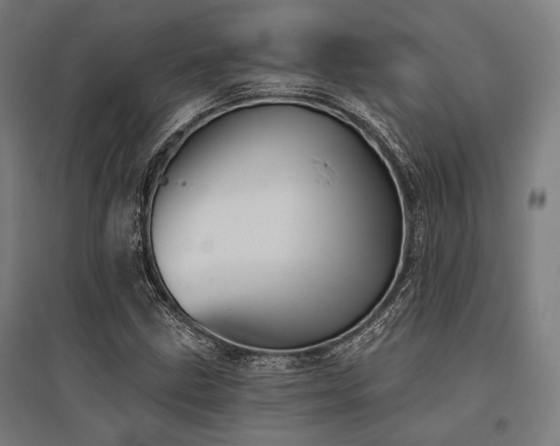 X0000096171211200801181242