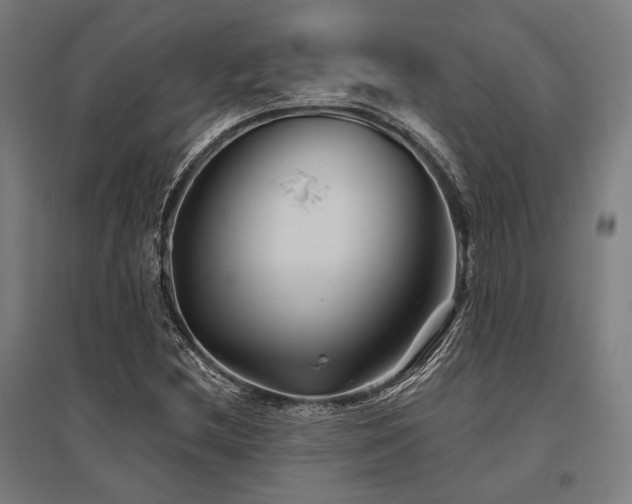 X0000096171212200801181242