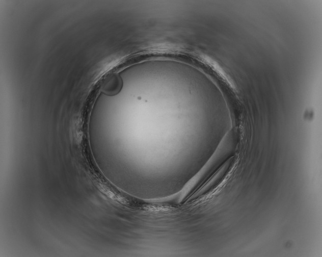 X0000096171213200801181242