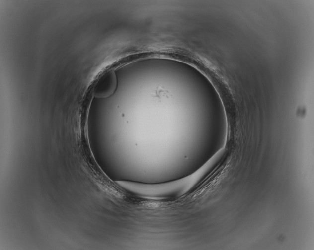 X0000096171214200801181242