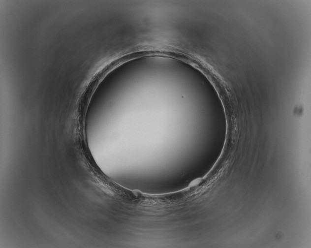 X0000096171215200801181242