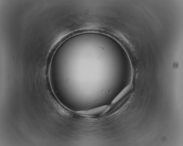 X0000096171216200801181242