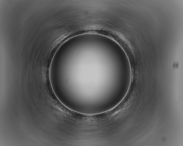 X0000096171217200801181242
