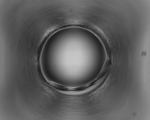X0000096171218200801181242