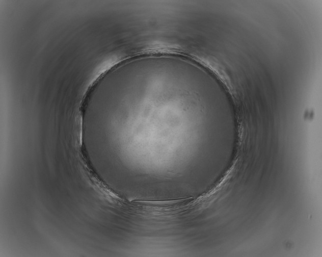 X0000096171219200801181242