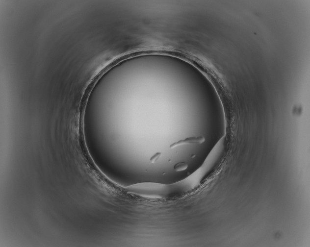 X0000096171220200801181242