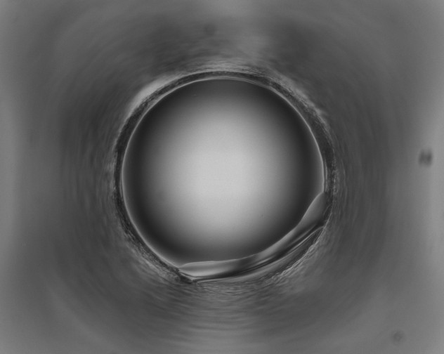 X0000096171222200801181242