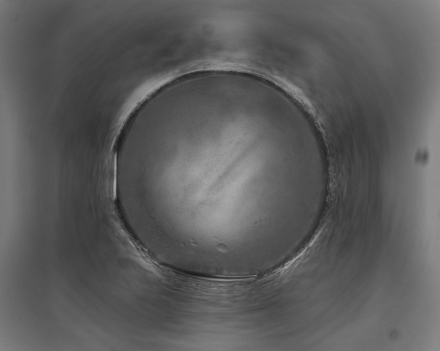 X0000096171223200801181242