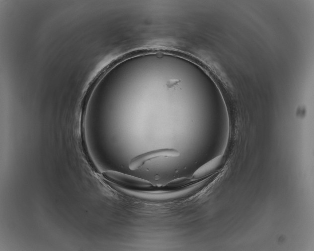 X0000096171224200801181242