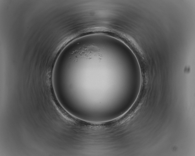 X0000096171225200801181242