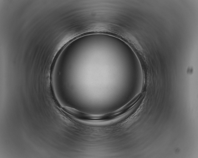 X0000096171226200801181242